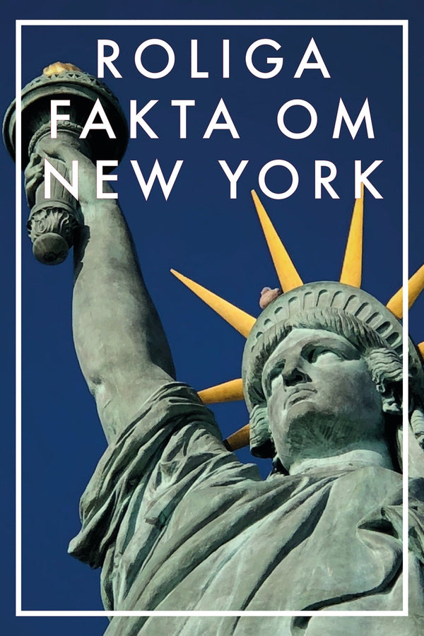 Roliga fakta om NEW YORK (Epub2) – E-bok – Laddas ner-Digitala böcker-Axiell-peaceofhome.se