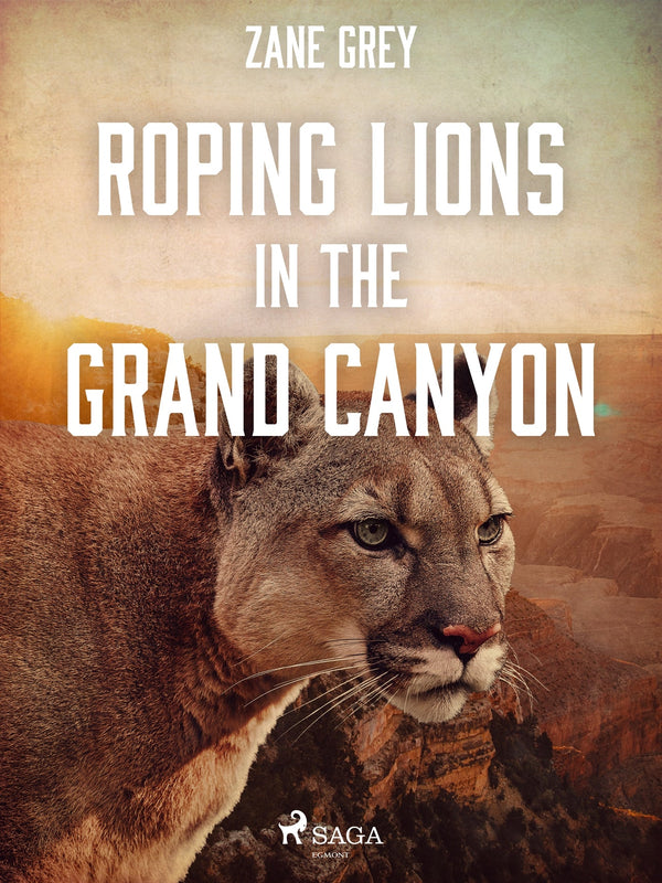 Roping Lions in the Grand Canyon – E-bok – Laddas ner-Digitala böcker-Axiell-peaceofhome.se