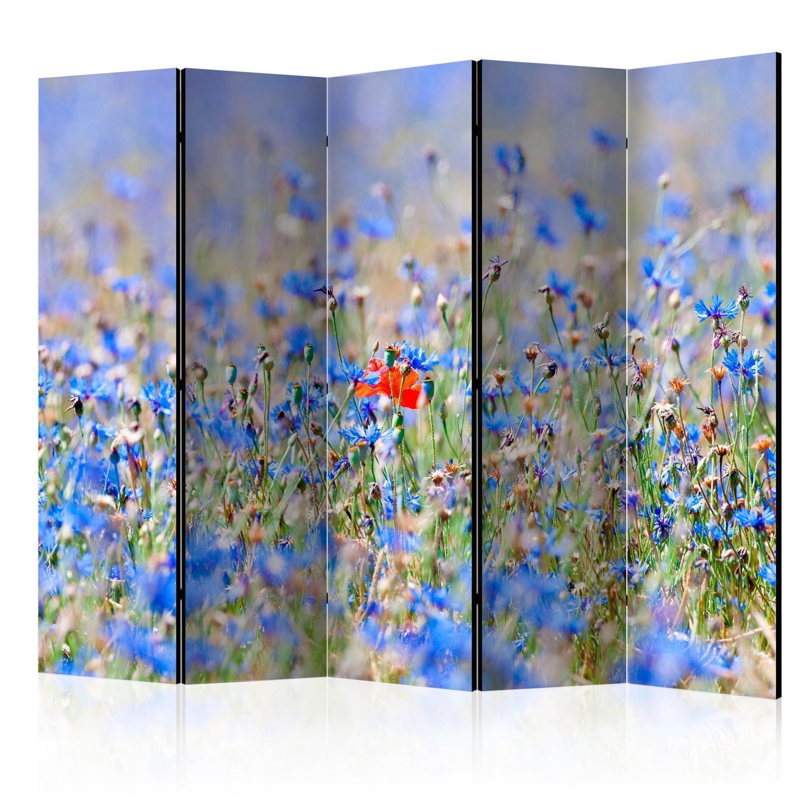 Rumsavdelare - A sky-colored meadow - cornflowers II-Rumsavdelare-Artgeist-peaceofhome.se