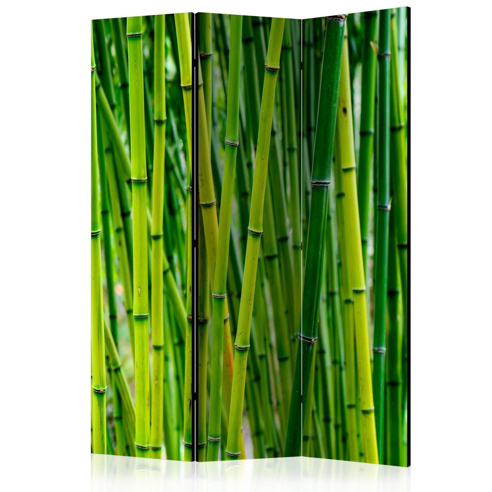 Rumsavdelare - Bamboo Forest-Rumsavdelare-Artgeist-peaceofhome.se