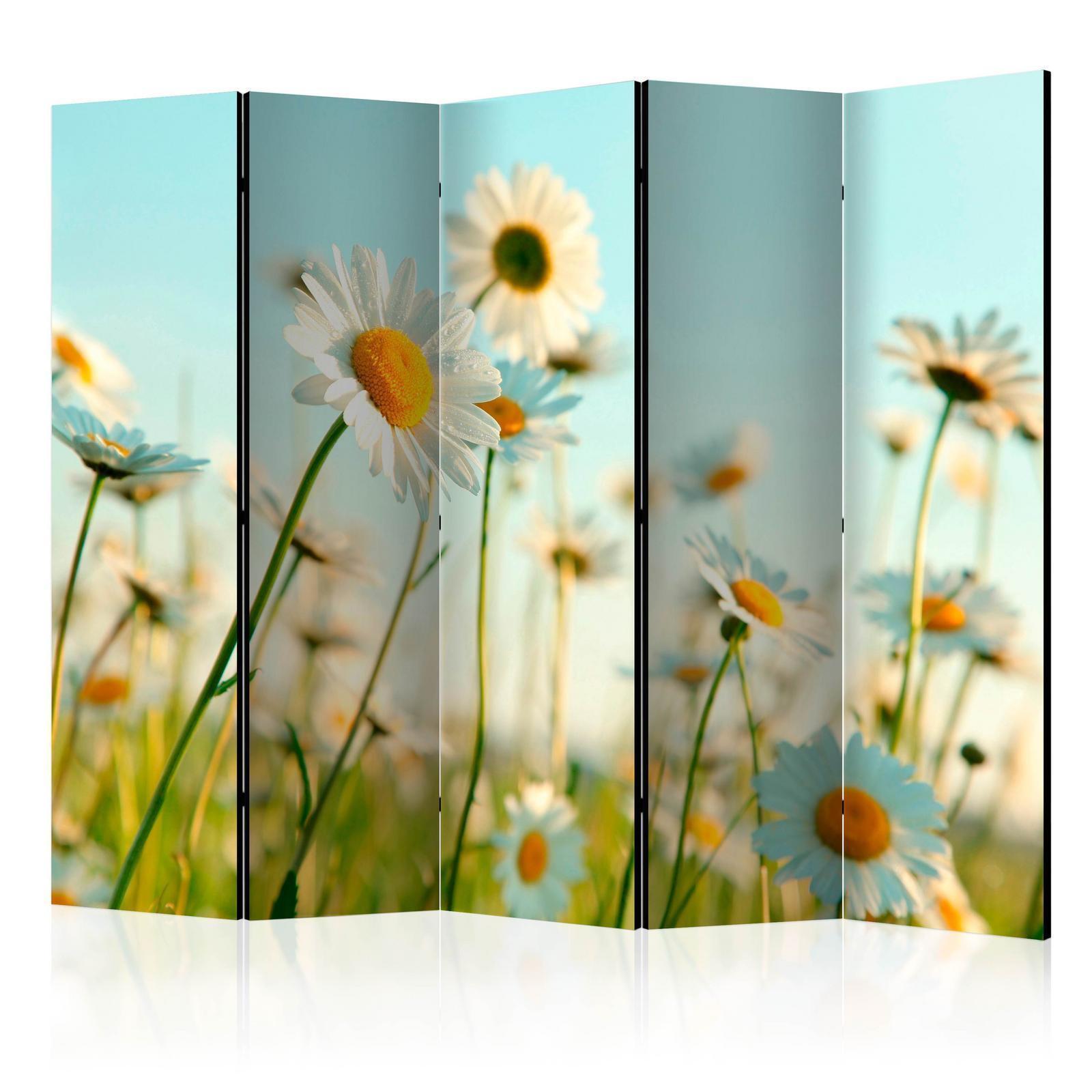 Rumsavdelare - Daisies - spring meadow II-Rumsavdelare-Artgeist-peaceofhome.se