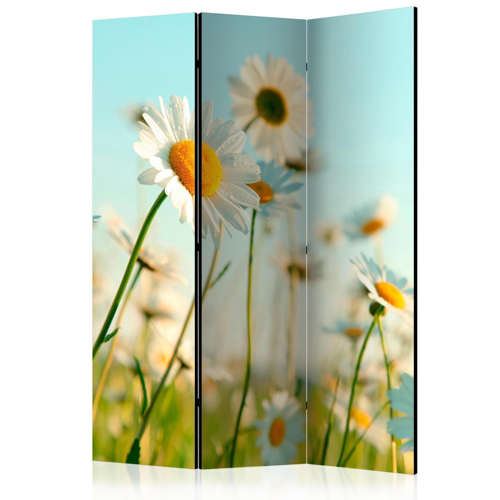 Rumsavdelare - Daisies - spring meadow-Rumsavdelare-Artgeist-peaceofhome.se