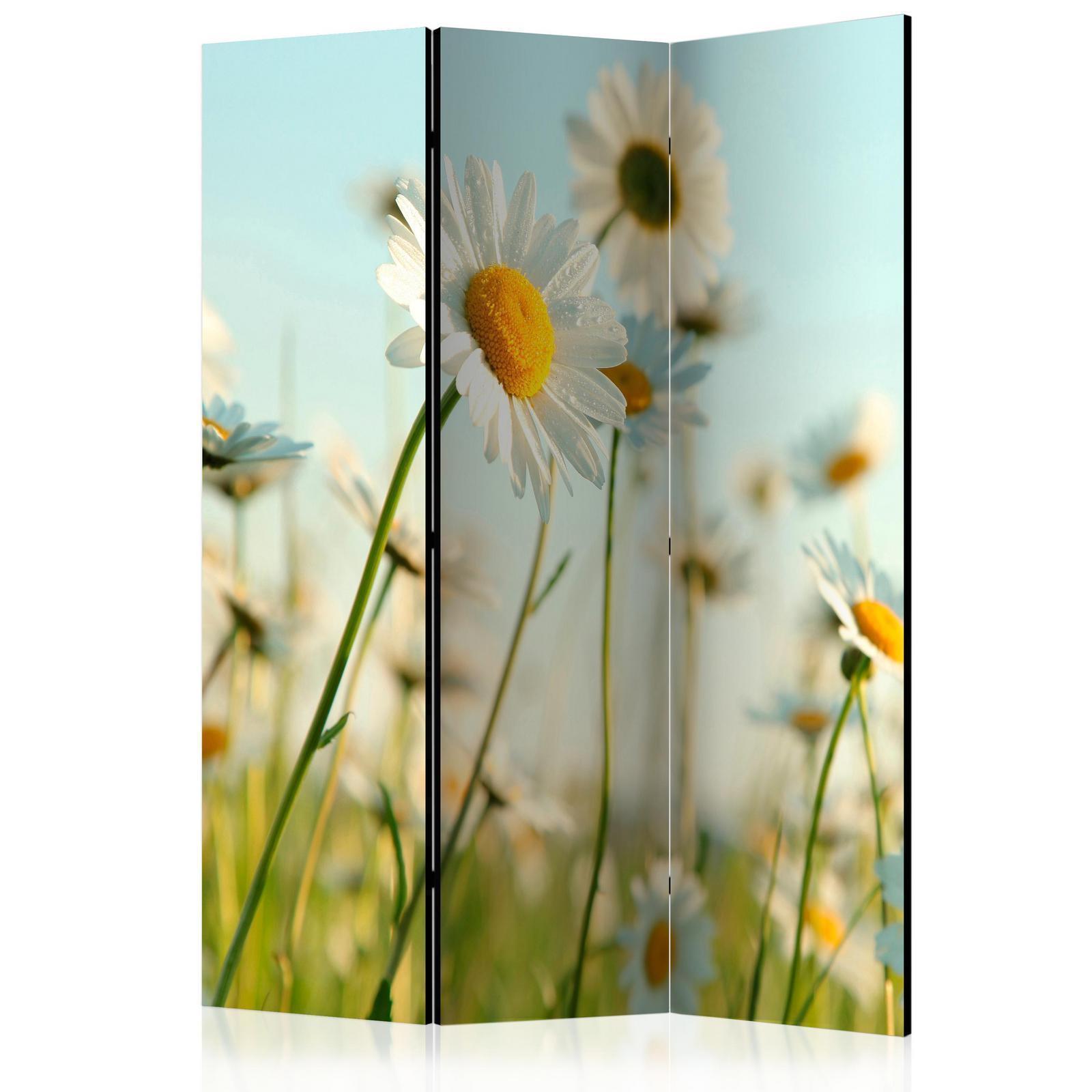 Rumsavdelare - Daisies - spring meadow-Rumsavdelare-Artgeist-peaceofhome.se