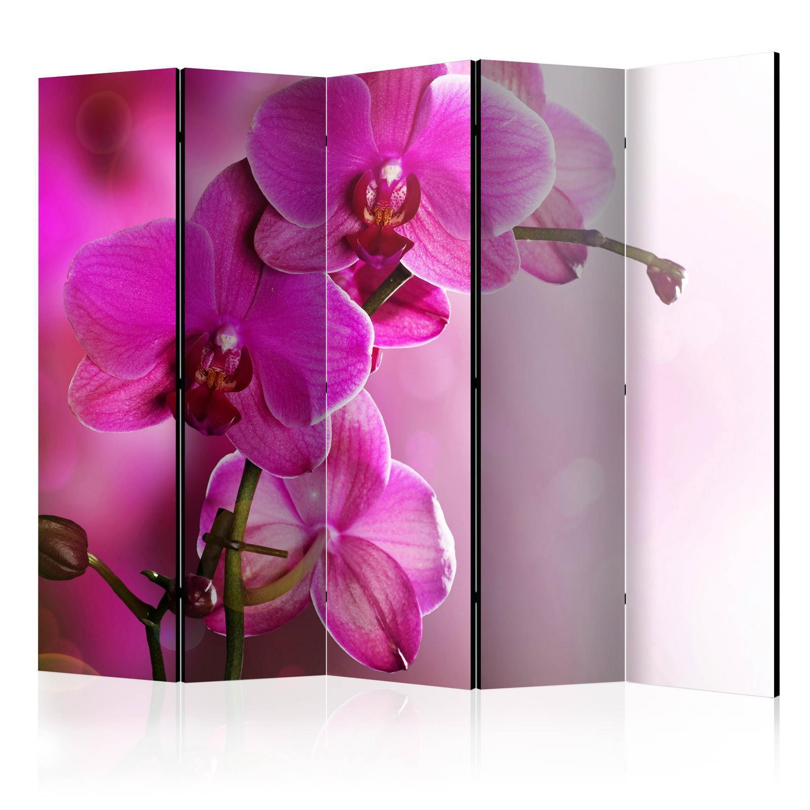 Rumsavdelare - Pink orchid II-Rumsavdelare-Artgeist-peaceofhome.se