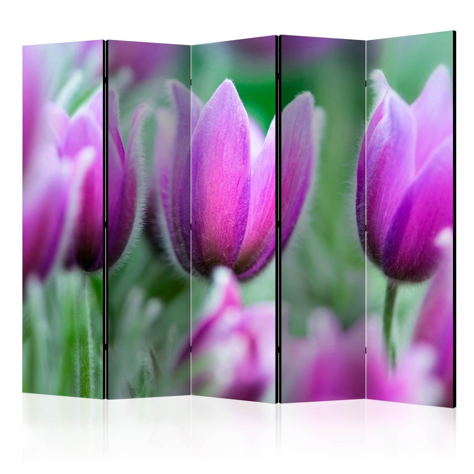 Rumsavdelare - Purple spring tulips II-Rumsavdelare-Artgeist-peaceofhome.se