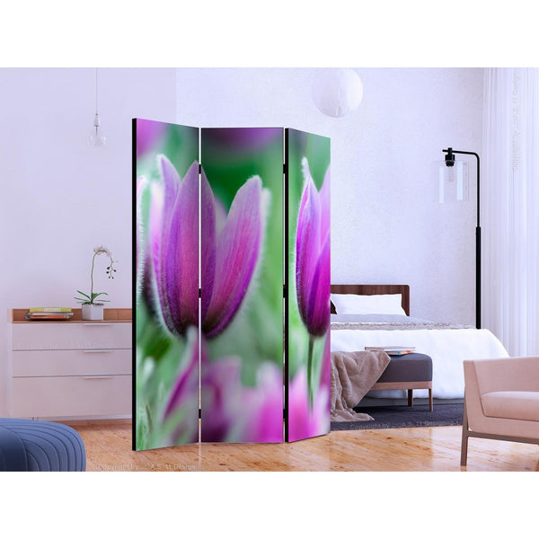 Rumsavdelare - Purple spring tulips-Rumsavdelare-Artgeist-peaceofhome.se