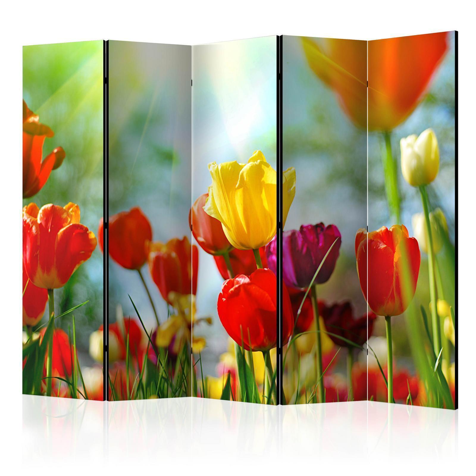 Rumsavdelare - Spring Tulips II-Rumsavdelare-Artgeist-peaceofhome.se