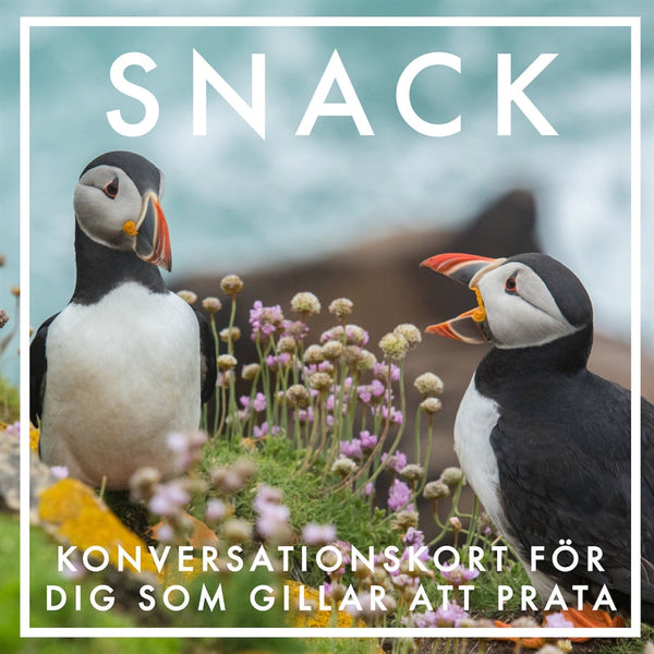 SNACK : Konversationskort för dig som gillar att prata (PDF) – E-bok – Laddas ner-Digitala böcker-Axiell-peaceofhome.se