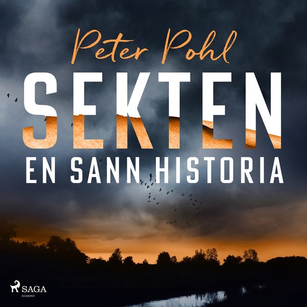 Sekten: en sann historia – Ljudbok – Laddas ner-Digitala böcker-Axiell-peaceofhome.se