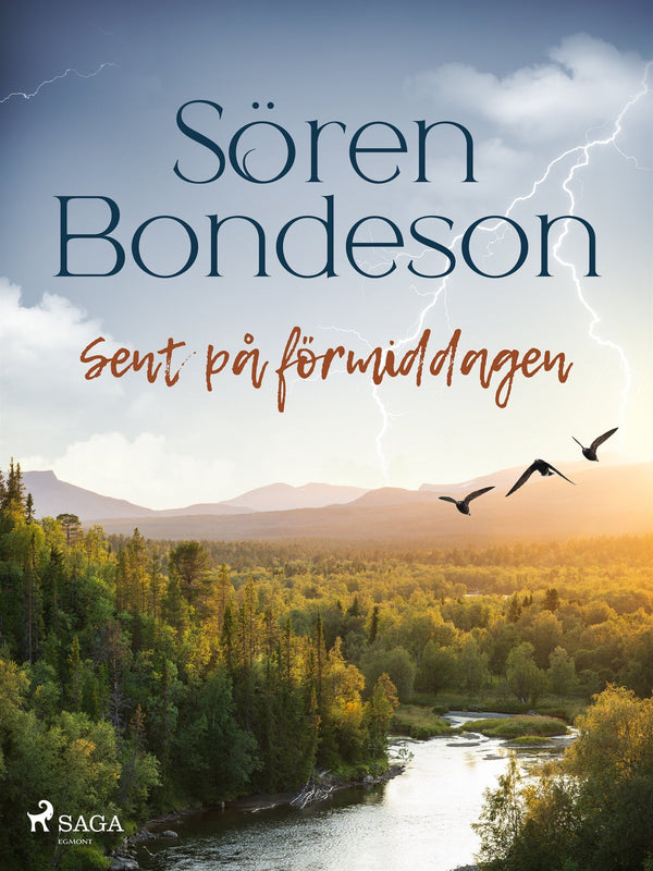 Sent på förmiddagen – E-bok – Laddas ner-Digitala böcker-Axiell-peaceofhome.se