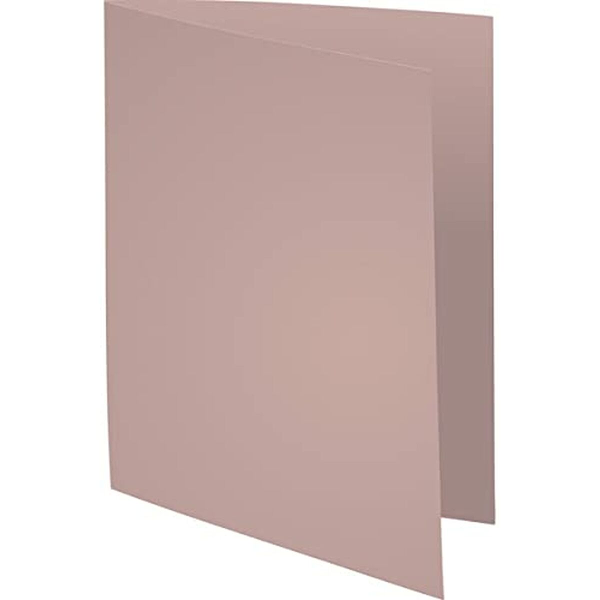 Set med undermappar Exacompta Grå A4 100 Delar (5 antal)-Kontor och Kontorsmaterial, Kontorsmaterial-Exacompta-peaceofhome.se