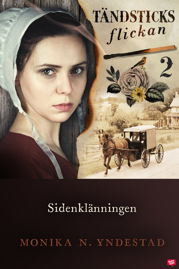 Sidenklänningen – E-bok – Laddas ner-Digitala böcker-Axiell-peaceofhome.se