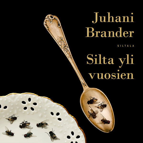 Silta yli vuosien – Ljudbok – Laddas ner-Digitala böcker-Axiell-peaceofhome.se