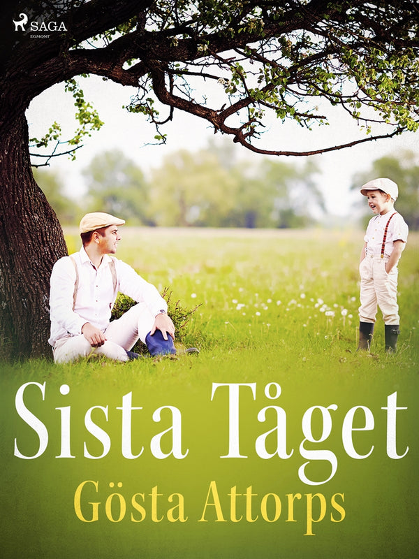 Sista Tåget – E-bok – Laddas ner-Digitala böcker-Axiell-peaceofhome.se