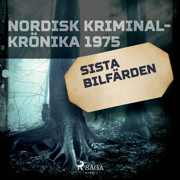Sista bilfärden – Ljudbok – Laddas ner-Digitala böcker-Axiell-peaceofhome.se