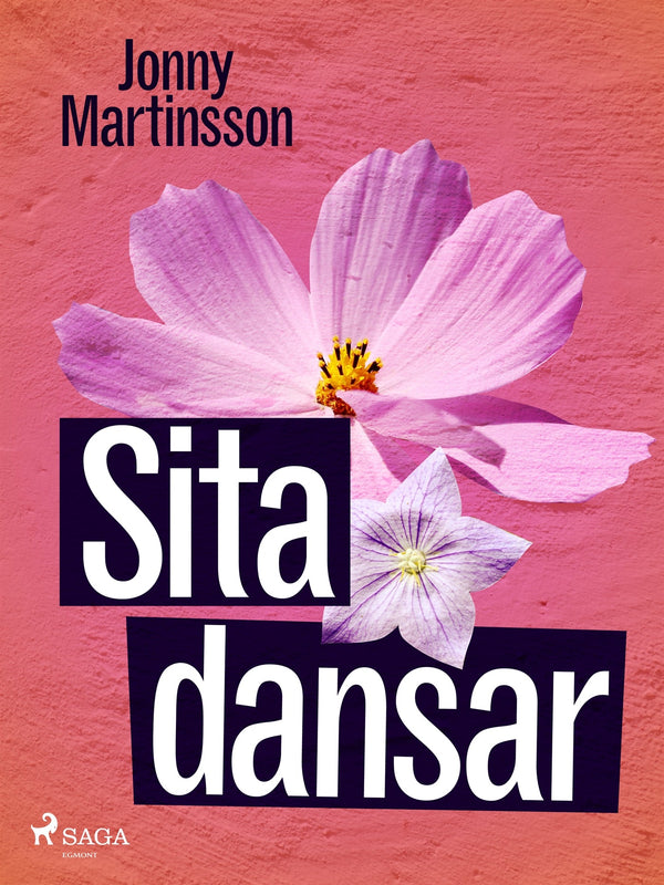 Sita dansar – E-bok – Laddas ner-Digitala böcker-Axiell-peaceofhome.se