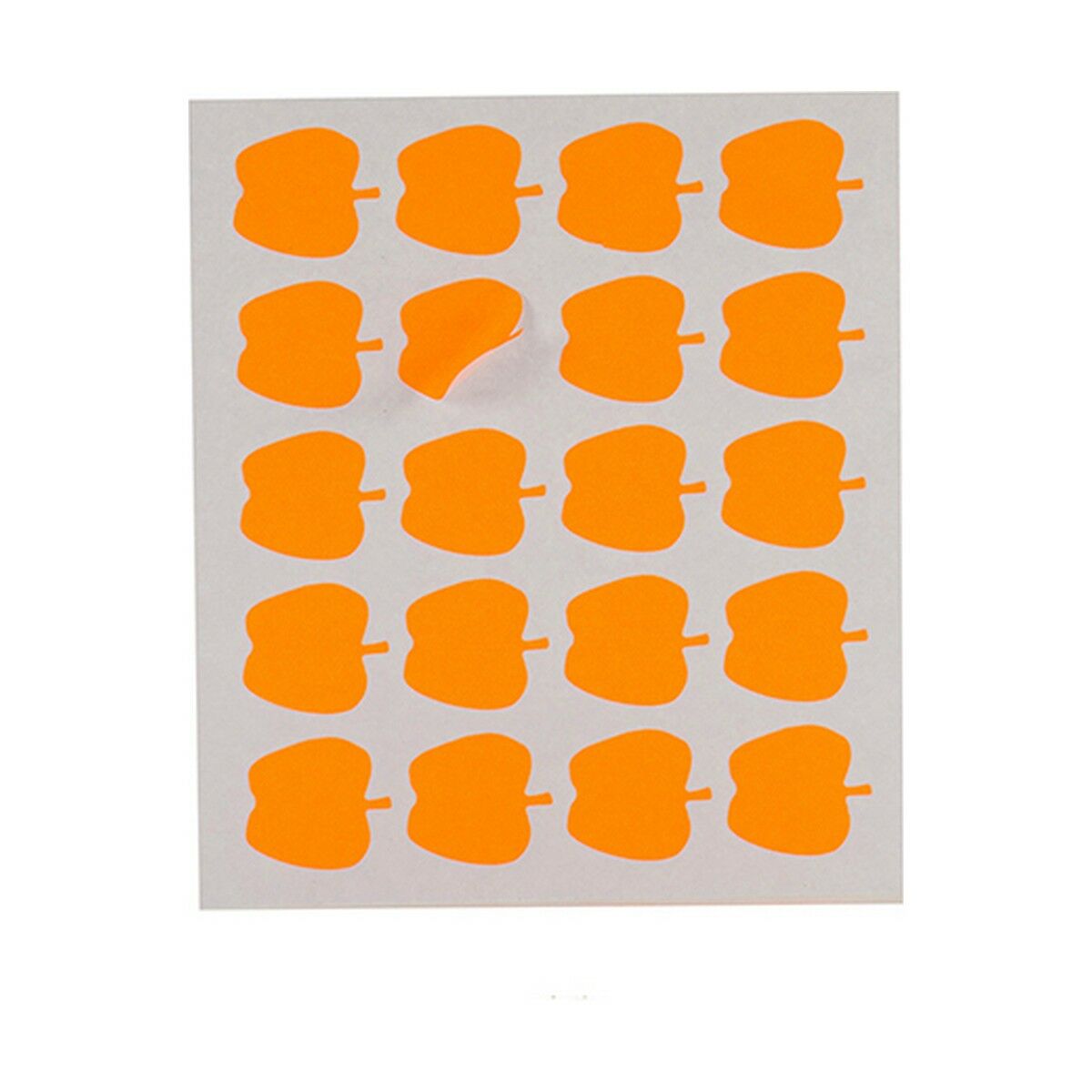 Självhäftande etiketter Pincello 1711090 1711090 17 x 4 x 19 cm 22 x 49 mm Äpple (12 antal)-Kontor och Kontorsmaterial, Kontorsmaterial-Pincello-peaceofhome.se
