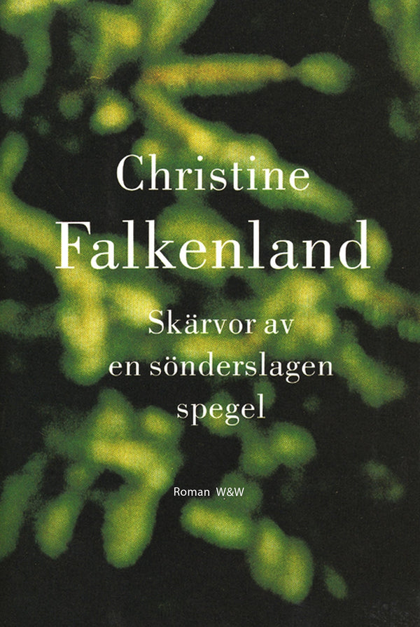 Skärvor av en sönderslagen spegel – E-bok – Laddas ner-Digitala böcker-Axiell-peaceofhome.se