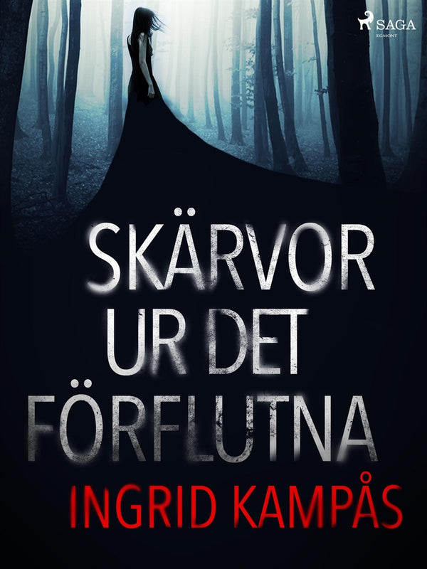 Skärvor ur det förflutna – E-bok – Laddas ner-Digitala böcker-Axiell-peaceofhome.se