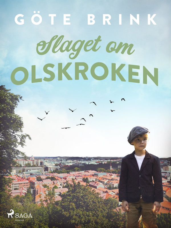 Slaget om Olskroken – E-bok – Laddas ner-Digitala böcker-Axiell-peaceofhome.se