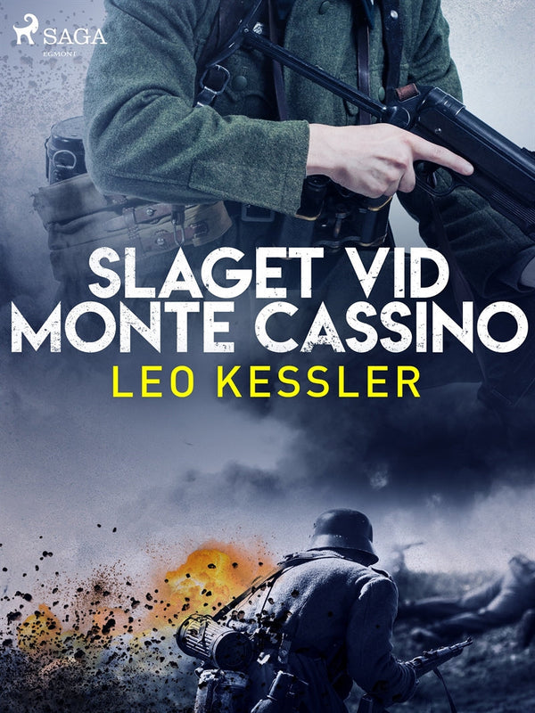 Slaget vid Monte Cassino – E-bok – Laddas ner-Digitala böcker-Axiell-peaceofhome.se