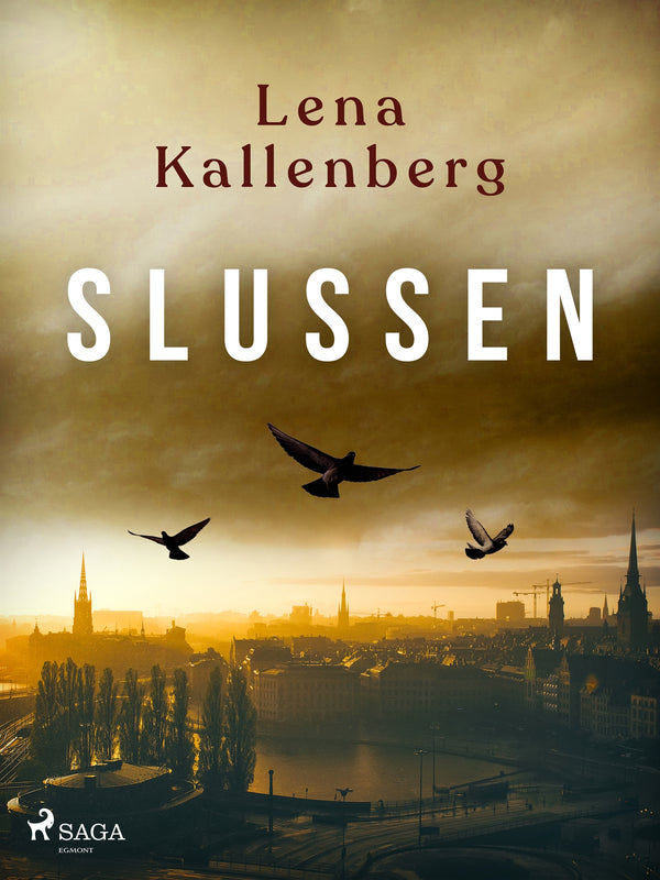 Slussen – E-bok – Laddas ner-Digitala böcker-Axiell-peaceofhome.se