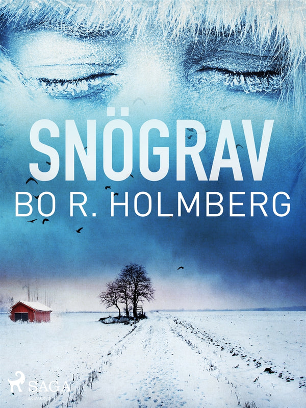 Snögrav – E-bok – Laddas ner-Digitala böcker-Axiell-peaceofhome.se