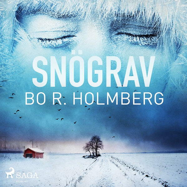 Snögrav – Ljudbok – Laddas ner-Digitala böcker-Axiell-peaceofhome.se