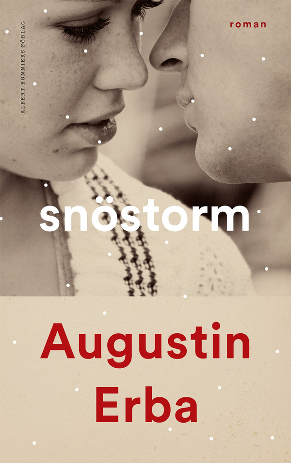Snöstorm – E-bok – Laddas ner-Digitala böcker-Axiell-peaceofhome.se