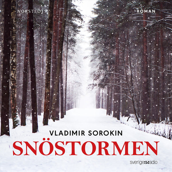 Snöstormen – Ljudbok – Laddas ner-Digitala böcker-Axiell-peaceofhome.se