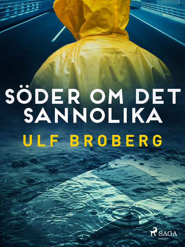 Söder om det sannolika – E-bok – Laddas ner-Digitala böcker-Axiell-peaceofhome.se