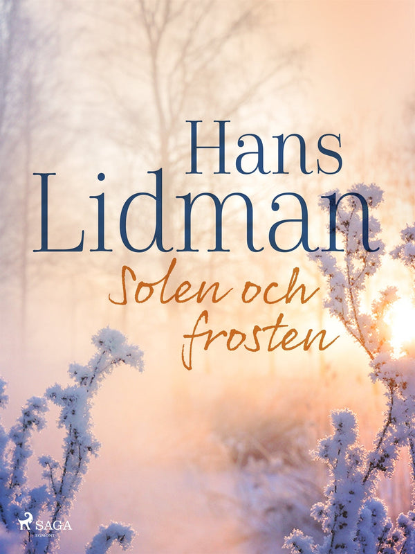 Solen och frosten – E-bok – Laddas ner-Digitala böcker-Axiell-peaceofhome.se