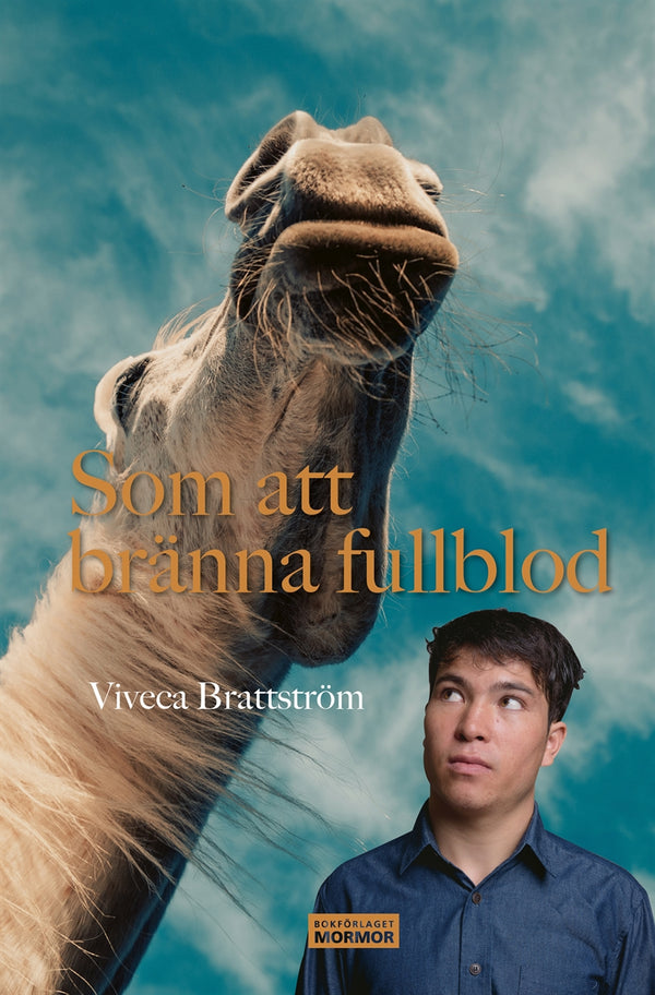Som att bränna fullblod – E-bok – Laddas ner-Digitala böcker-Axiell-peaceofhome.se