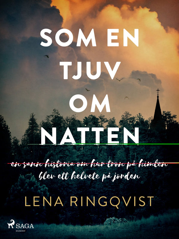 Som en tjuv om natten – E-bok – Laddas ner-Digitala böcker-Axiell-peaceofhome.se