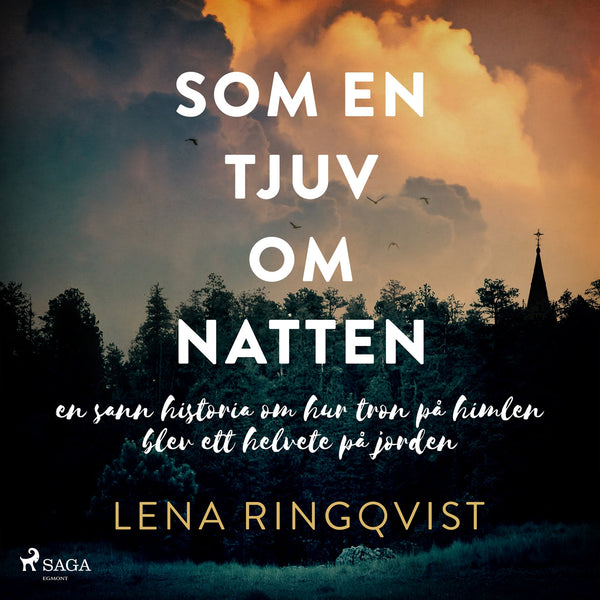 Som en tjuv om natten – Ljudbok – Laddas ner-Digitala böcker-Axiell-peaceofhome.se