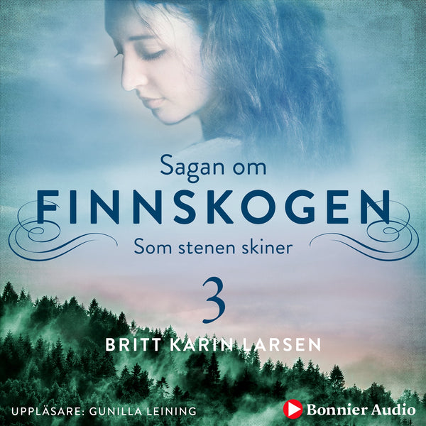 Som stenen skiner – Ljudbok – Laddas ner-Digitala böcker-Axiell-peaceofhome.se