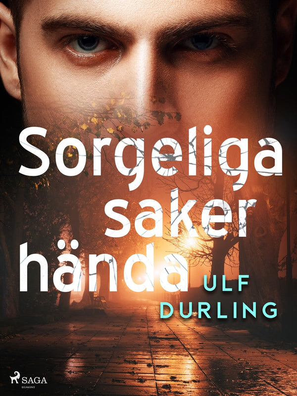 Sorgeliga saker hända – E-bok – Laddas ner-Digitala böcker-Axiell-peaceofhome.se