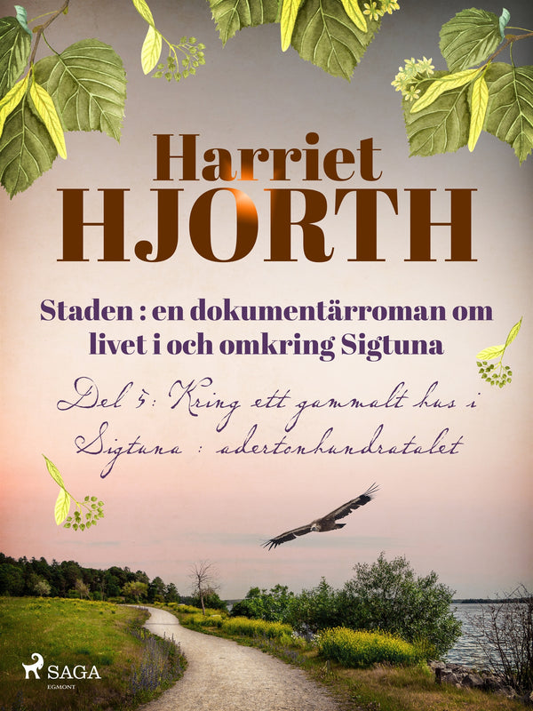 Staden : en dokumentärroman om livet i och omkring Sigtuna – E-bok – Laddas ner-Digitala böcker-Axiell-peaceofhome.se