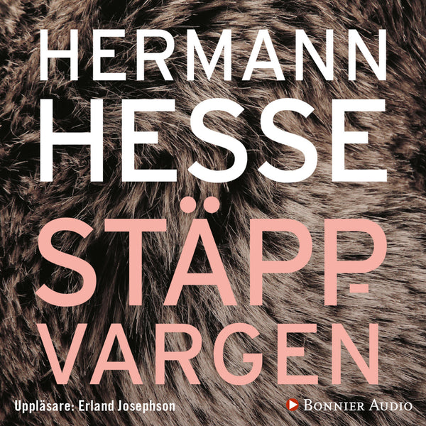 Stäppvargen – Ljudbok – Laddas ner-Digitala böcker-Axiell-peaceofhome.se