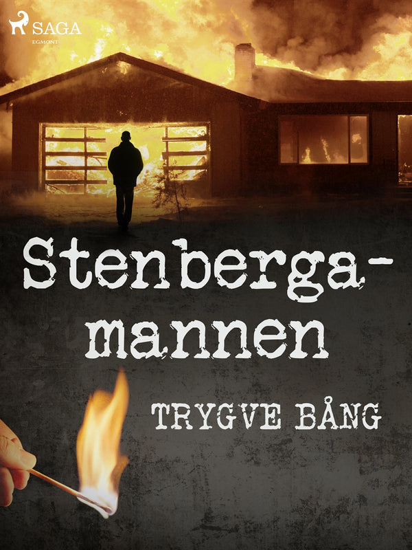 Stenbergamannen – E-bok – Laddas ner-Digitala böcker-Axiell-peaceofhome.se