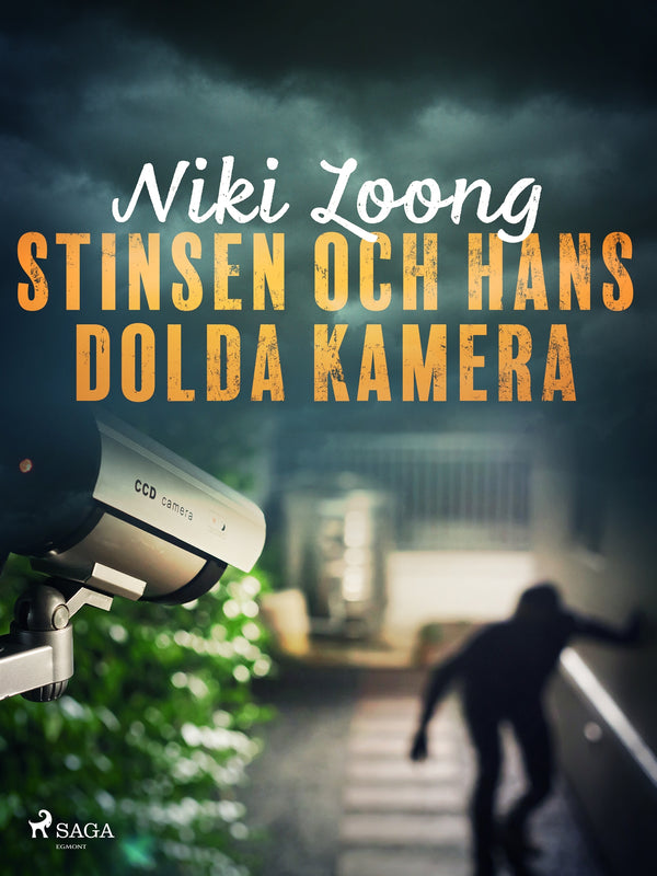 Stinsen och hans dolda kamera – E-bok – Laddas ner-Digitala böcker-Axiell-peaceofhome.se