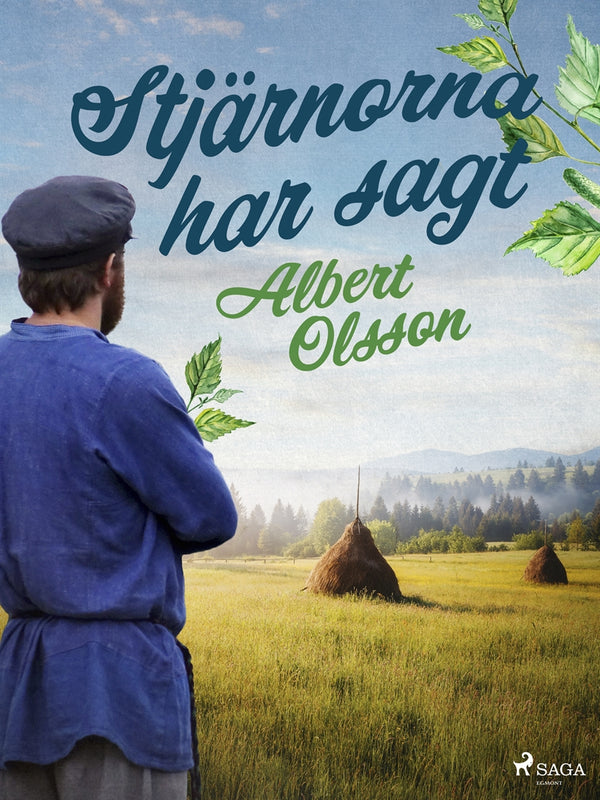 Stjärnorna har sagt – E-bok – Laddas ner-Digitala böcker-Axiell-peaceofhome.se