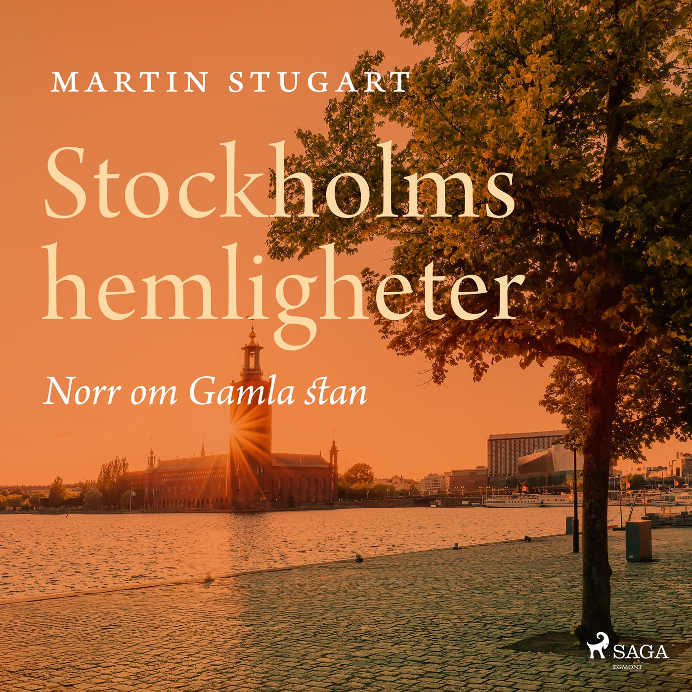 Stockholms hemligheter - Norr om Gamla stan – Ljudbok – Laddas ner-Digitala böcker-Axiell-peaceofhome.se