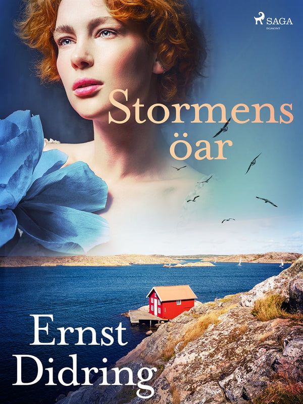 Stormens öar – E-bok – Laddas ner-Digitala böcker-Axiell-peaceofhome.se