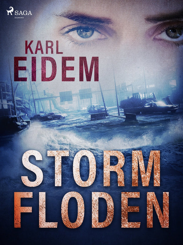 Stormfloden – E-bok – Laddas ner-Digitala böcker-Axiell-peaceofhome.se