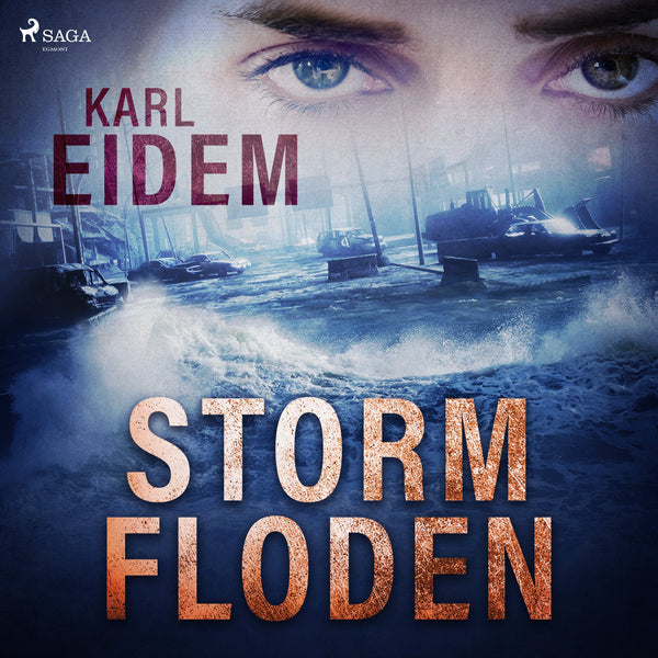 Stormfloden – Ljudbok – Laddas ner-Digitala böcker-Axiell-peaceofhome.se