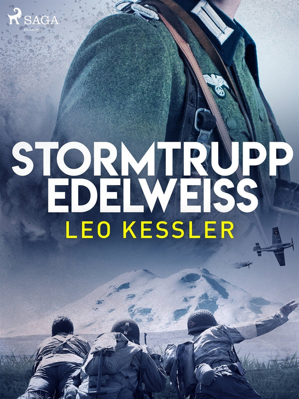 Stormtrupp Edelweiss – E-bok – Laddas ner-Digitala böcker-Axiell-peaceofhome.se