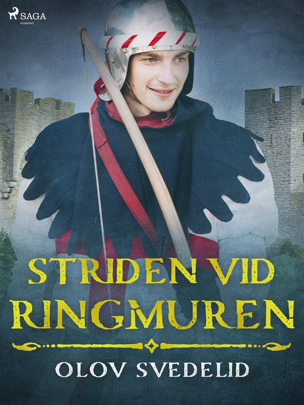 Striden vid ringmuren – E-bok – Laddas ner-Digitala böcker-Axiell-peaceofhome.se