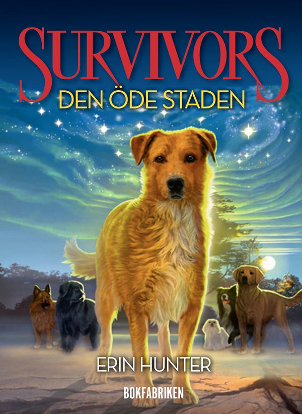 Survivors 1.1 Den öde staden – E-bok – Laddas ner-Digitala böcker-Axiell-peaceofhome.se