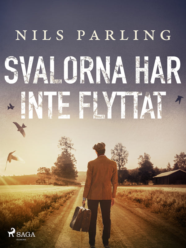 Svalorna har inte flyttat – E-bok – Laddas ner-Digitala böcker-Axiell-peaceofhome.se
